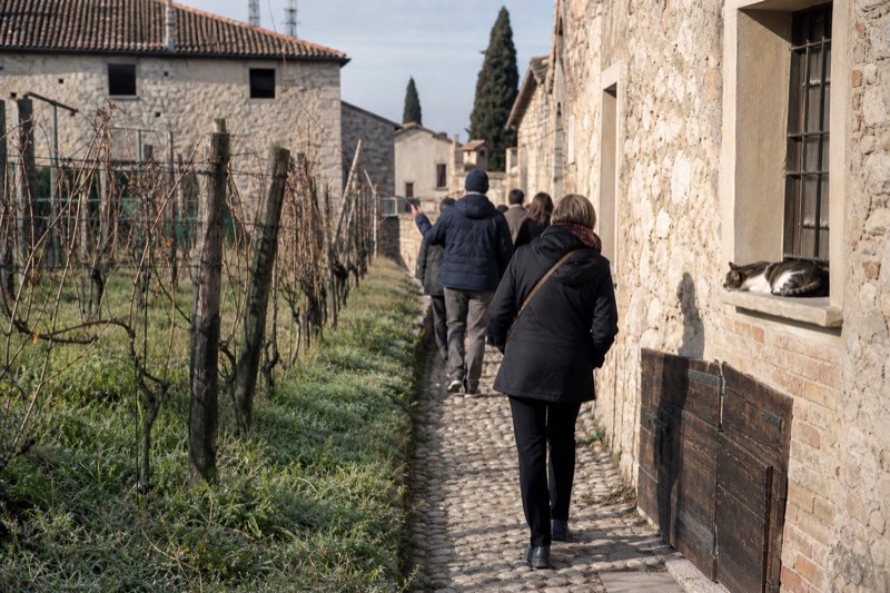 Soave Wine Tasting and Vineyard Tour in the Historic Centre