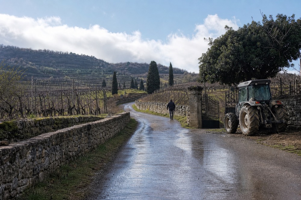 A country road winding between vineyards and stone walls in the Valpolicella hills, no text, no logos, no people