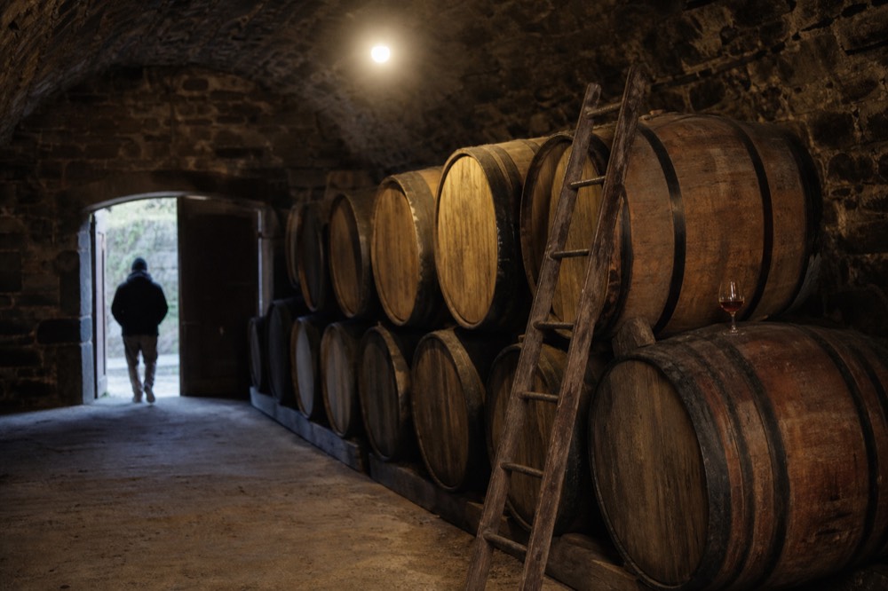 Oak barrels in a Valpolicella cellar, no text, no logos, no people