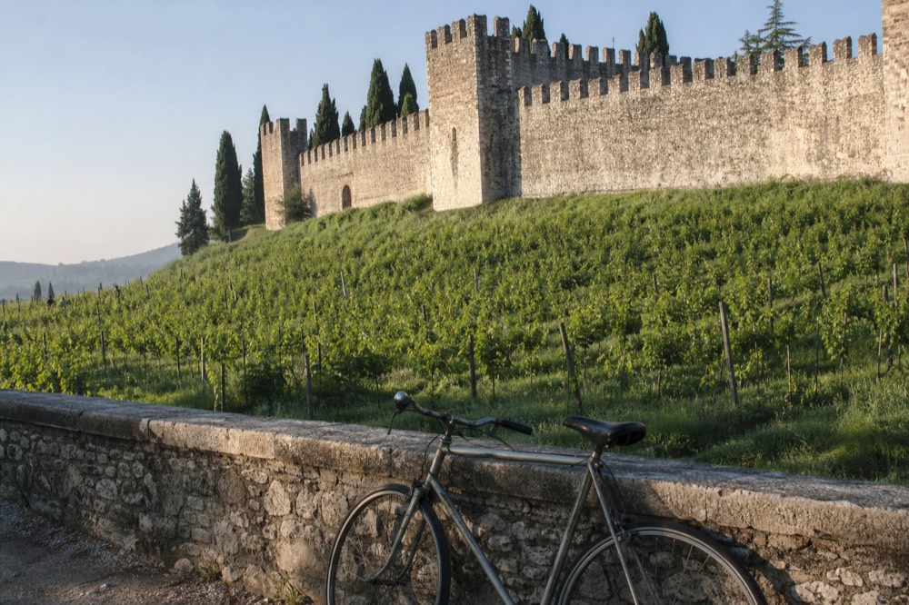 Soave castle walls above vineyards, no text, no logos, no people