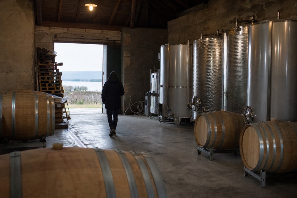 A row of oak and stainless barrels in a lakeside Lugana cellar, no text, no logos, no people