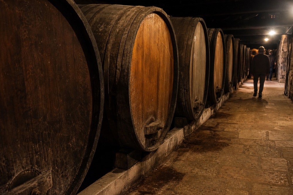 An old barrel cellar with rows of large oak casks in a Valpolicella winery, no text, no logos, no people