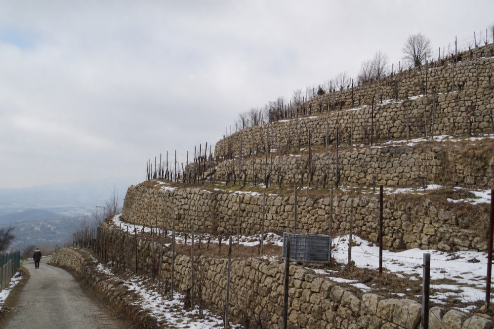 Dry-stone walled terraces of the Classico zone above Marano di Valpolicella, no text, no logos, no people